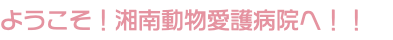 ようこそ！湘南動物愛護病院へ！！