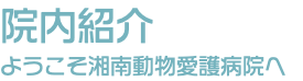 院内紹介 ようこそ湘南動物愛護病院へ
